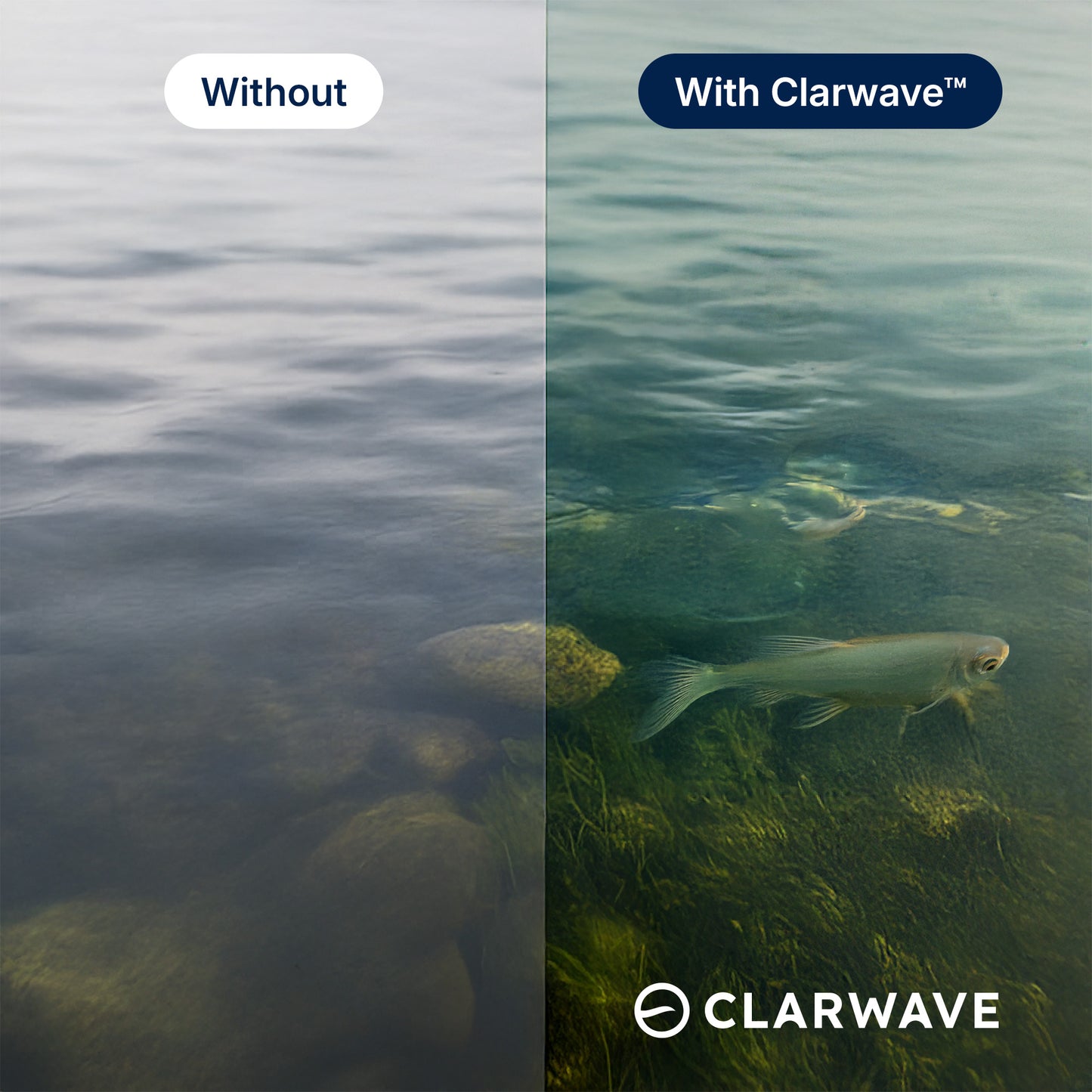 Clarwave™ HLT Pro — Polarized Fishing Sunglasses